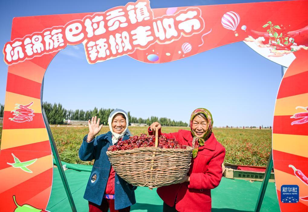 电脑版JJ大厅安装不了